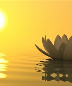 Cúng Linh Ông Bà – Cô Hồn