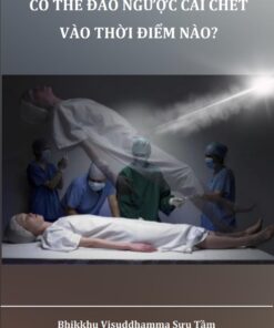 Có Thể Đảo Ngược Cái Chết Vào Thời Điểm Nào