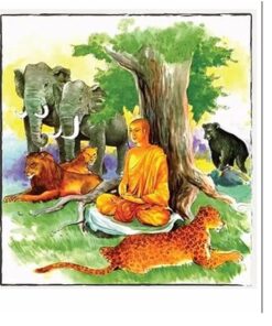 Truyện Pháp Cú câu 38-39 ĐẠI ĐỨC PHỤC TÂM