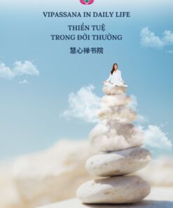 Thiền Tuệ Trong Đời Thường – Vipassana In Daily Life – 慧心禅书院