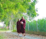 Sư Sinh Ra Của Hệ Nhận Thức