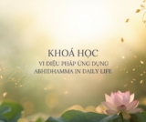 Khoá Học: VI DIỆU PHÁP ỨNG DỤNG – Course:  ABHIDHAMMA IN DAILY LIFE